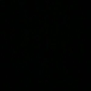 Meet your Posher, Kylee